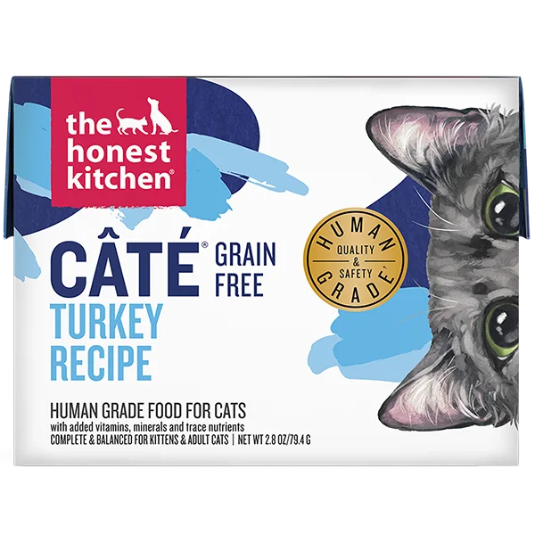 Honest Kitchen GF Pate Turkey Tetra Pak 2.8oz