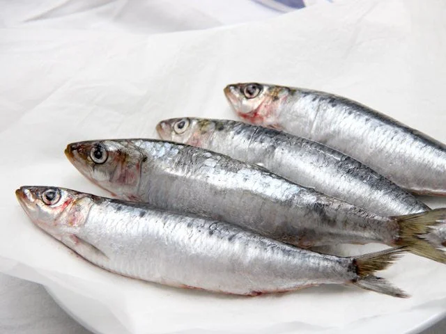 Pilchards Whole