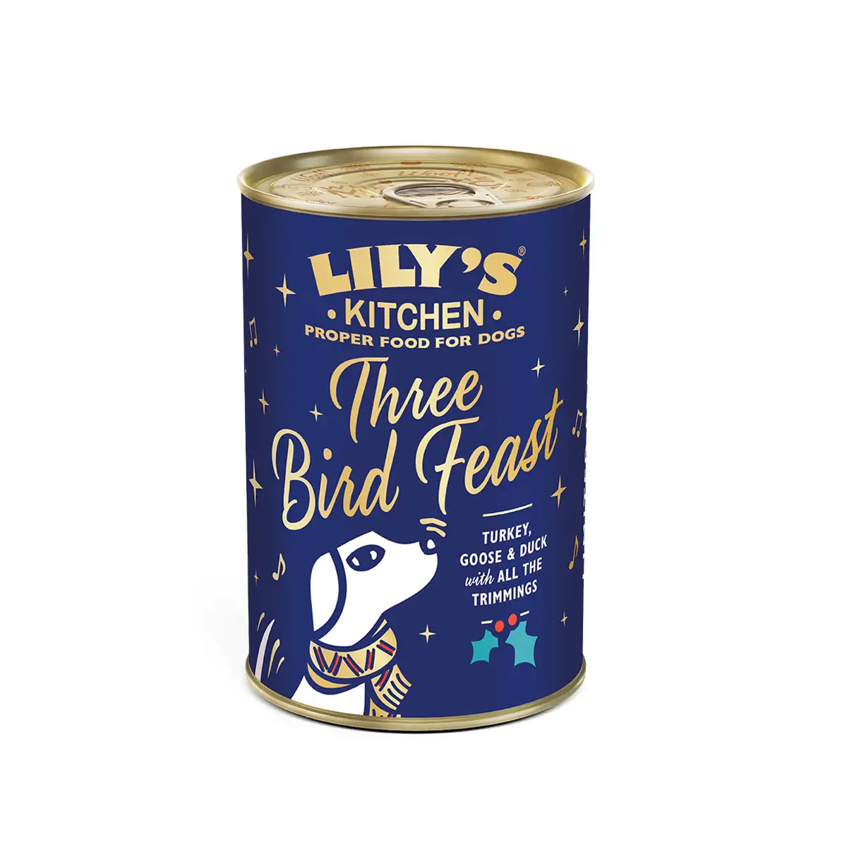 Lily's Kitchen - Christmas Three Bird Feast 400g